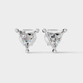 Tringle Shape Earrings (1 Pair)