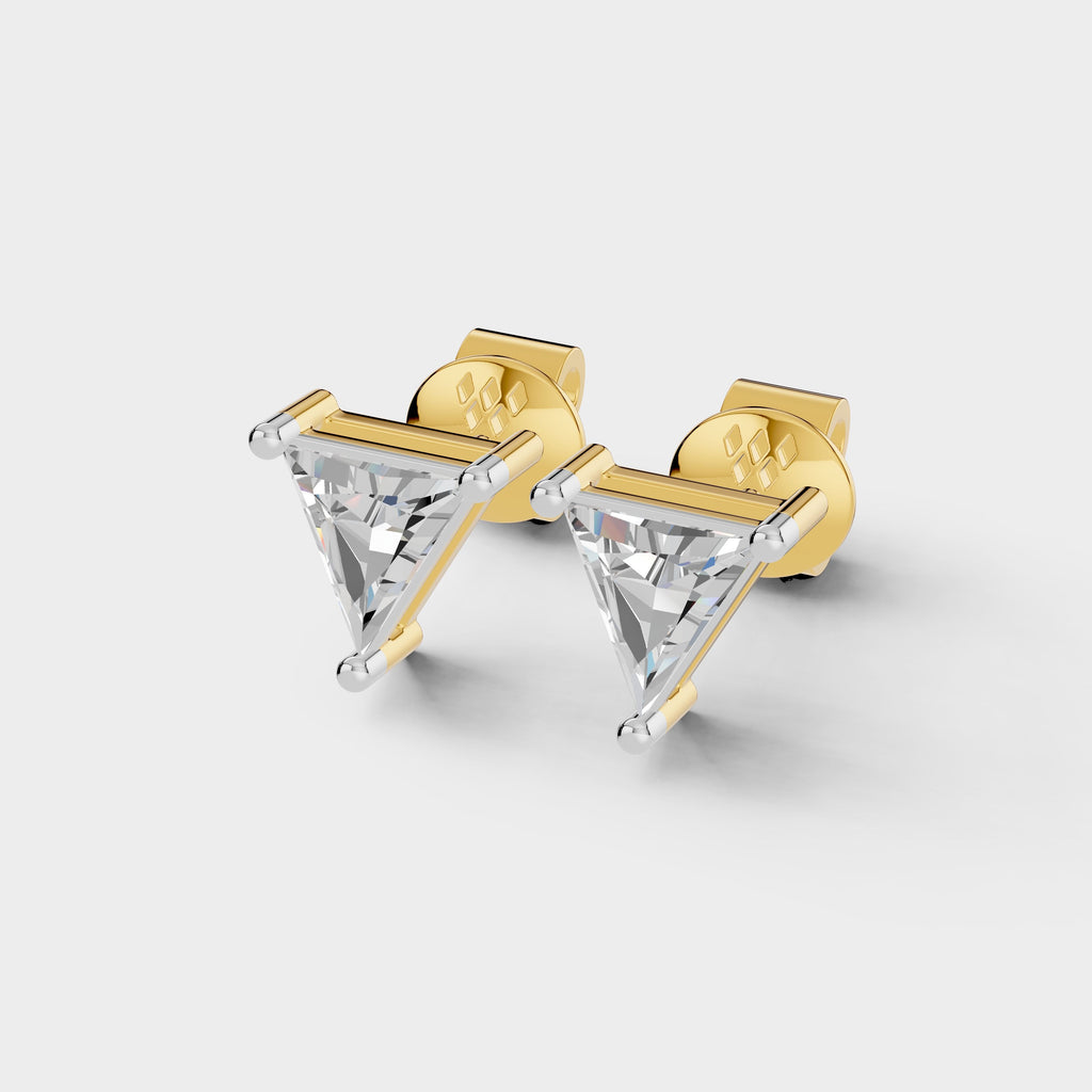 Tringle Shape Earrings (1 Pair)