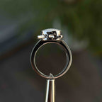 Turtle Ring