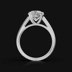 WhatsApp Image 2025-09-08 at 16.07.33_e9341a7c