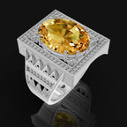 WhatsApp Image 2025-09-13 at 11.11.21_2a59fed1