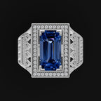 WhatsApp Image 2025-09-15 at 12.05.43_3d13fc21