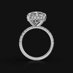 WhatsApp Image 2025-09-17 at 18.55.13_142605b4