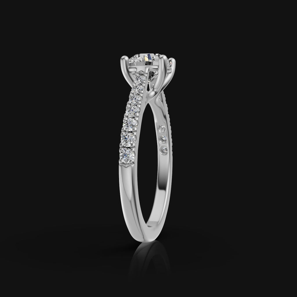 WhatsApp Image 2025-09-22 at 15.31.30_3ac80c8d