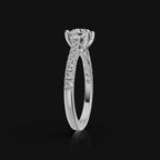 WhatsApp Image 2025-09-22 at 15.31.30_3ac80c8d