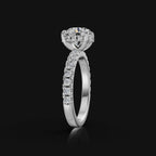 WhatsApp Image 2025-09-22 at 16.14.17_2bd331ba