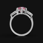 WhatsApp Image 2025-09-23 at 14.29.49_880ffe69