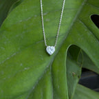 WhatsApp Image 2025-09-24 at 19.04.15_5e029a57