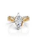 Elite Marquise