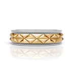 Geometric Facet Ring