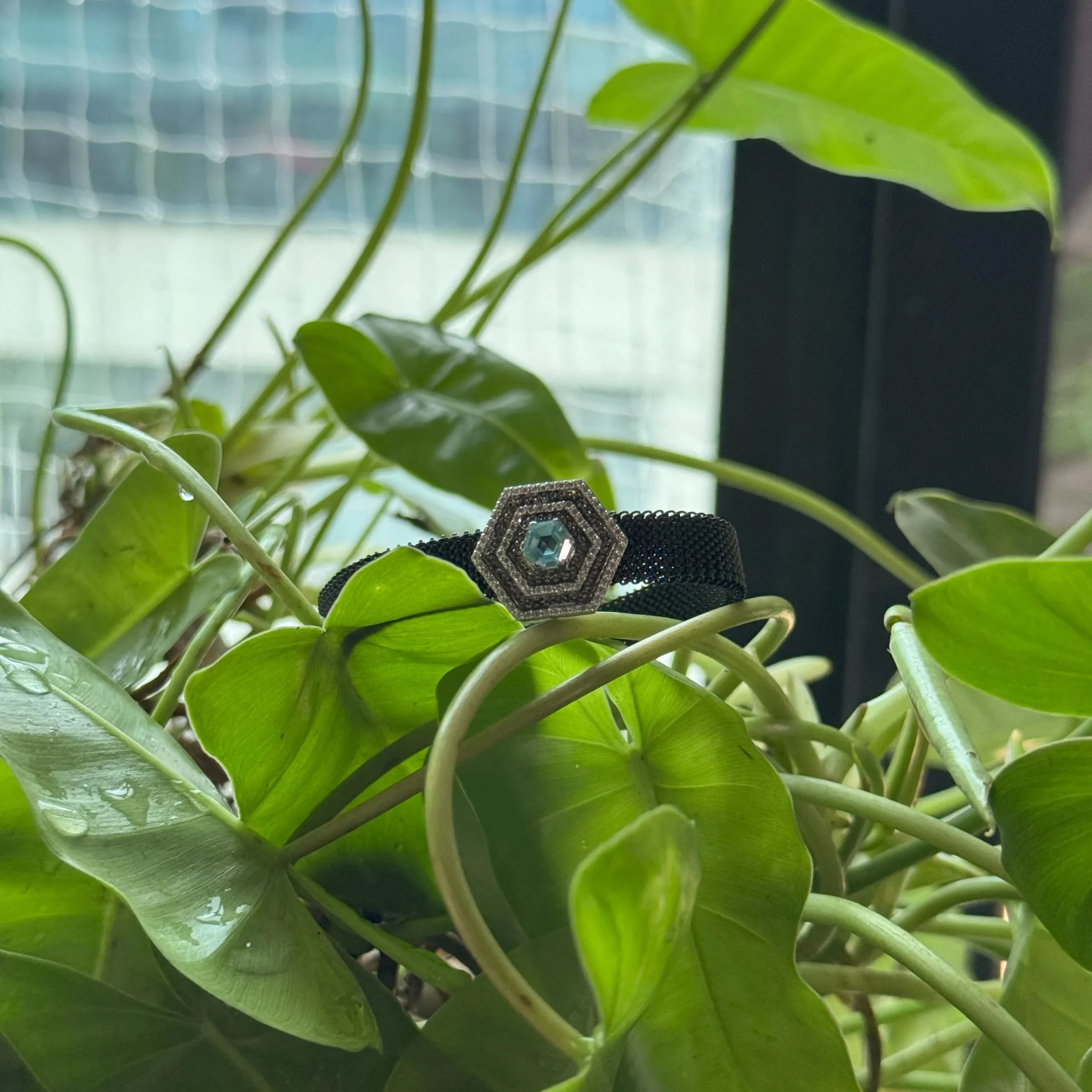 lhd0t0wxgwekjktnw1mg