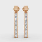 Elegant Earrings (1 Pair)