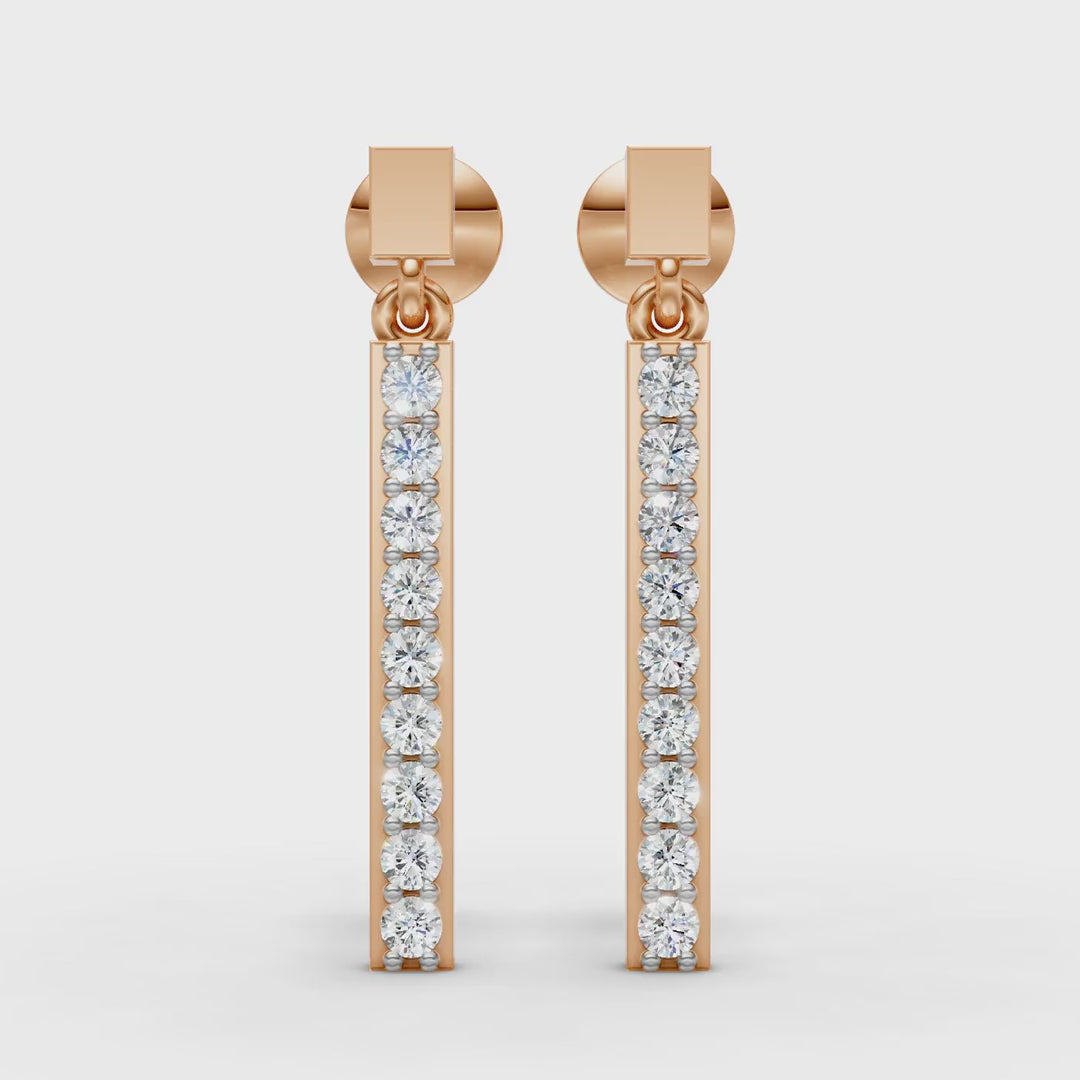 Elegant Earrings (1 Pair)
