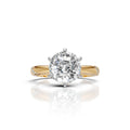 Portuguese Solitaire Split Shank Ring