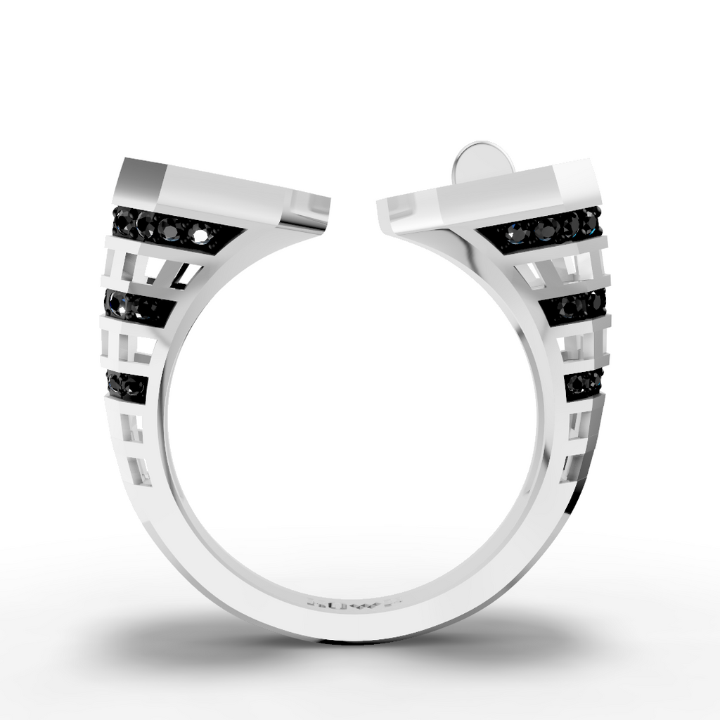 Dual Face Chess Ring