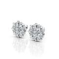 Radiant Bloom Studs