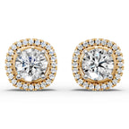 Stunning Earring (2 In 1) (1 Pair)