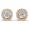 Stunning Earring (2 In 1) (1 Pair)