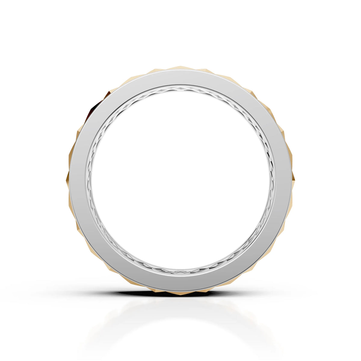 Geometric Facet Ring